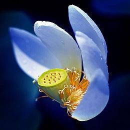 多分支2D高难度ACT《地狱之魂》15分钟试玩视频